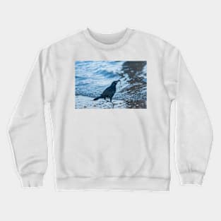 Grackle with a Fish Crewneck Sweatshirt